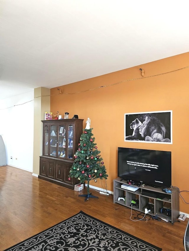 living area with wood finished floors