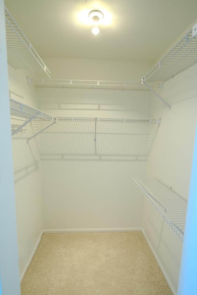 spacious closet featuring light carpet