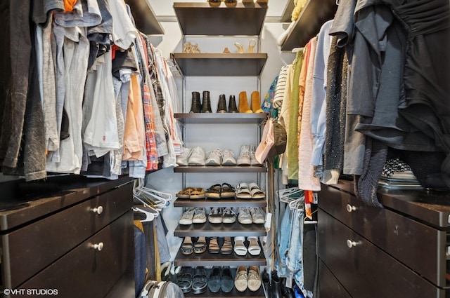 view of walk in closet