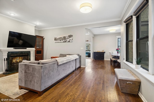 living area with dark wood-style floors, a warm lit fireplace, and crown molding