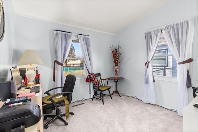 carpeted home office featuring plenty of natural light