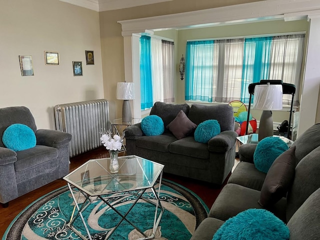 living room featuring radiator, crown molding, and wood finished floors