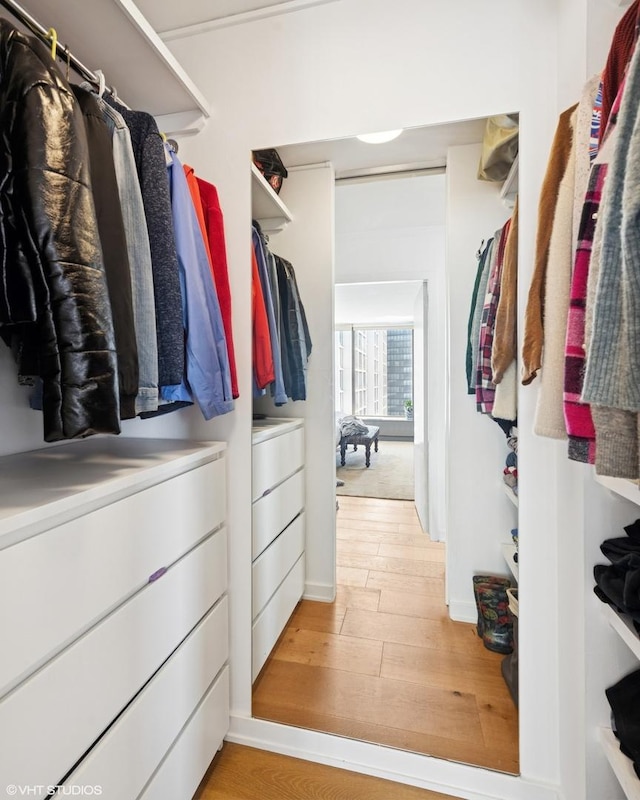 spacious closet with light wood finished floors