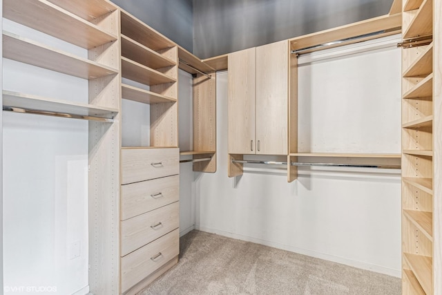 spacious closet with light carpet