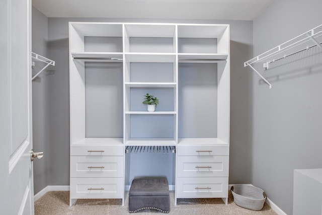 spacious closet with carpet flooring