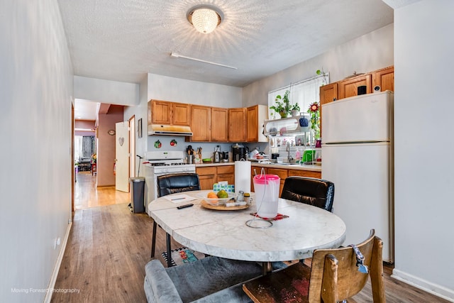 kitchen featuring light wood-style floors, white appliances, plenty of natural light, and under cabinet range hood