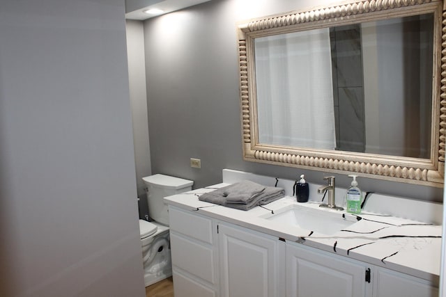 bathroom with vanity, toilet, and wood finished floors