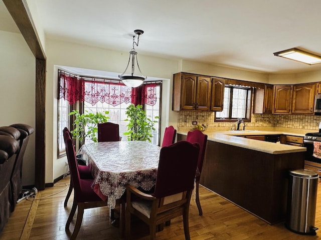 dining room with hardwood / wood-style floors and baseboards