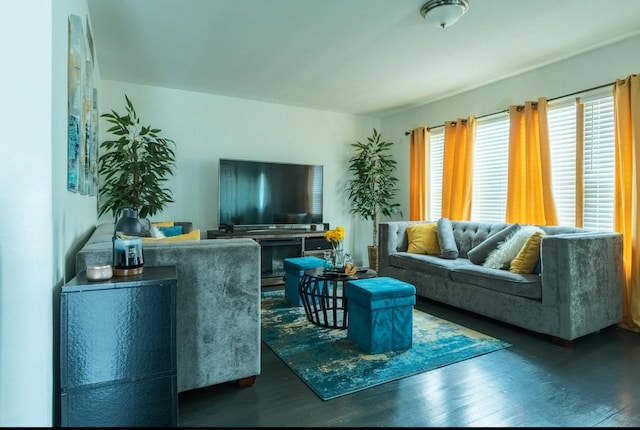 living area with wood finished floors