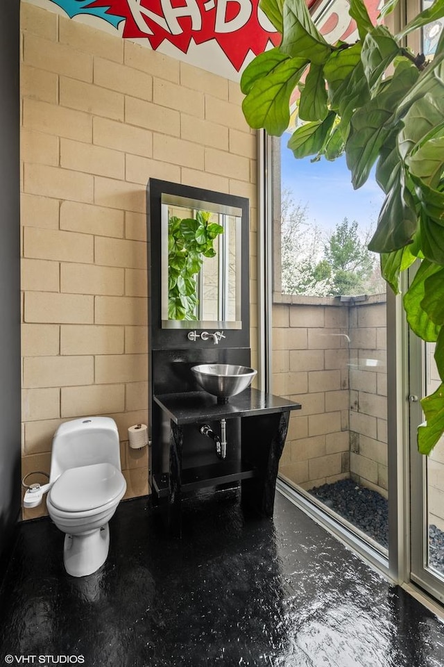 full bathroom featuring a shower, a sink, and toilet