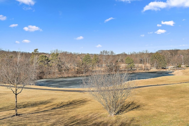 property view of water featuring a view of trees