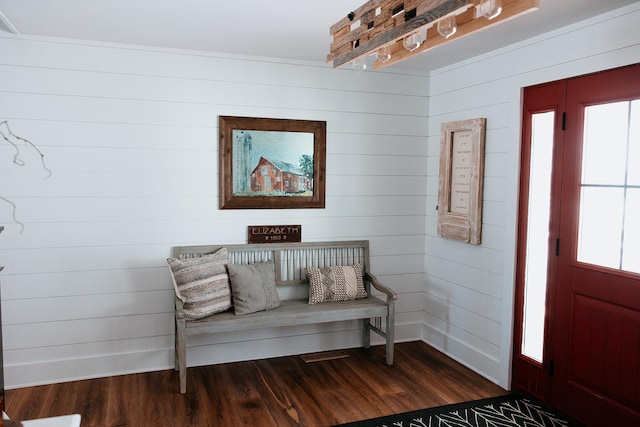 entryway featuring a wealth of natural light and dark wood-style flooring