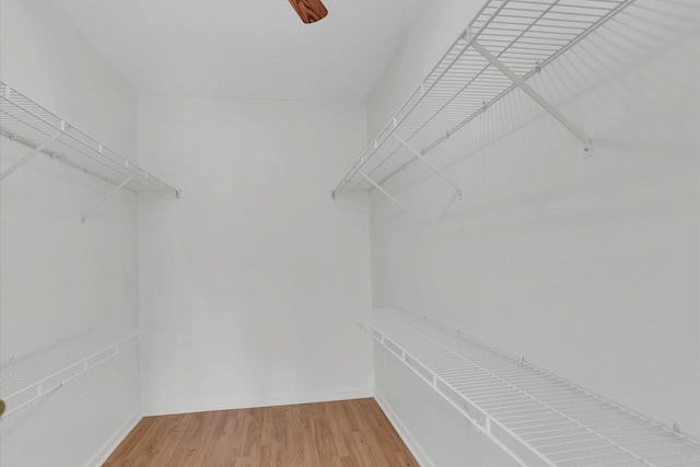 walk in closet with wood finished floors