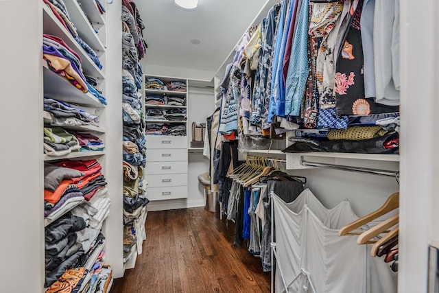 walk in closet with wood finished floors