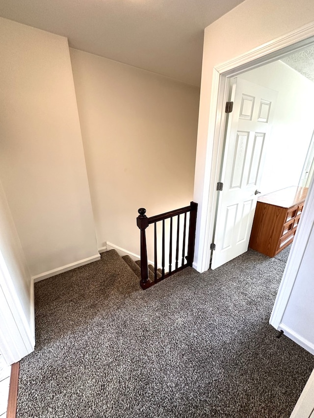 stairs featuring carpet floors