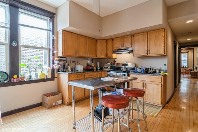 kitchen featuring stainless steel gas stove, light wood finished floors, dark countertops, and under cabinet range hood