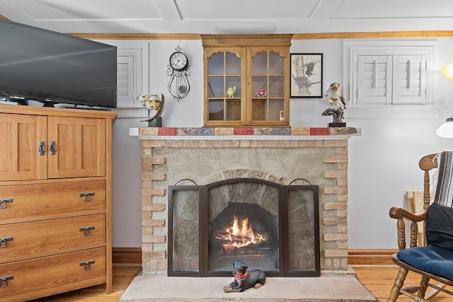 room details featuring a warm lit fireplace and wood finished floors