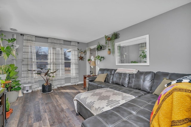 bedroom featuring wood finished floors