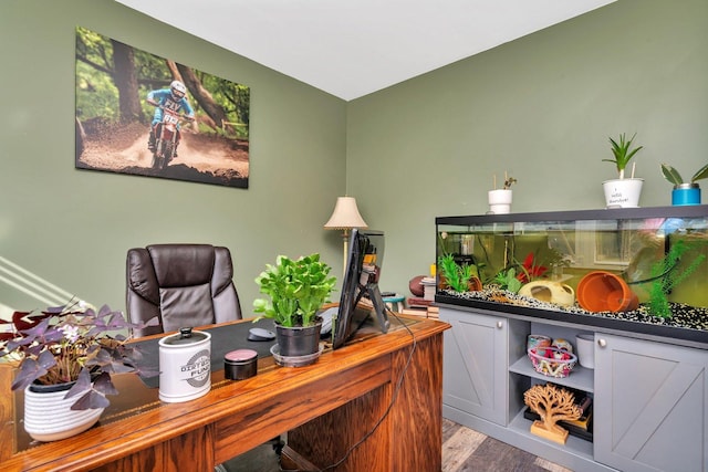 office featuring wood finished floors