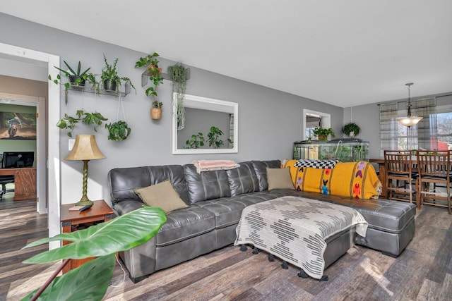 living area featuring wood finished floors