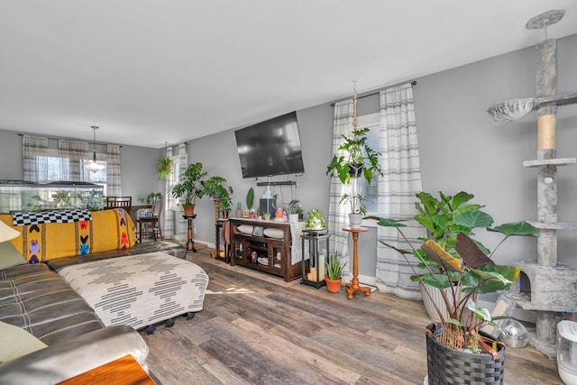 living area with wood finished floors