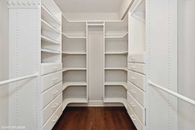 spacious closet with dark wood-type flooring