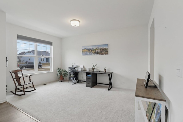 office area featuring carpet floors