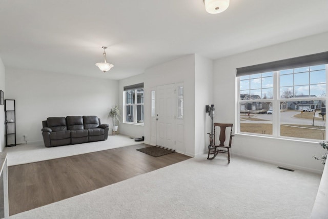 carpeted entryway featuring visible vents and wood finished floors