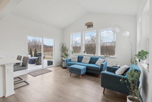 living area with a healthy amount of sunlight, high vaulted ceiling, and wood finished floors