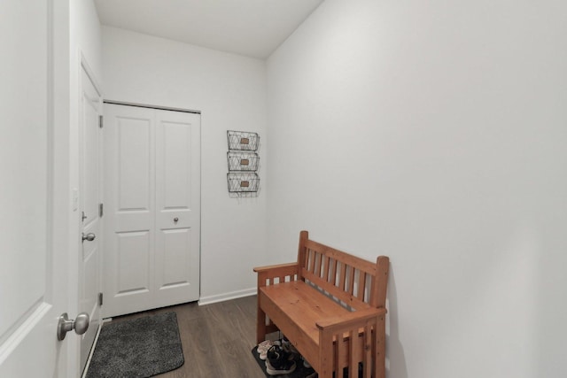 interior space featuring baseboards and dark wood-type flooring