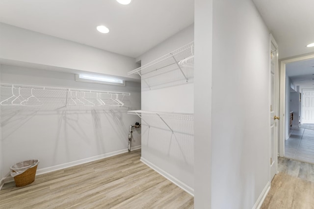 spacious closet featuring wood finished floors