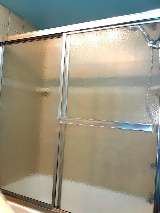 bathroom with a shower stall