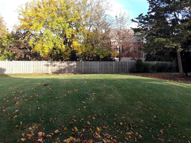 view of yard featuring fence