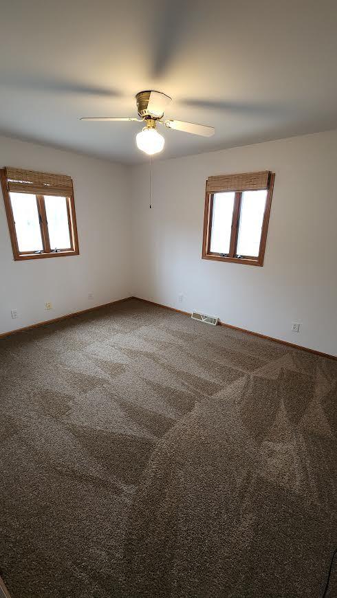 spare room with carpet, plenty of natural light, and ceiling fan