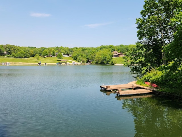 view of dock with a water view