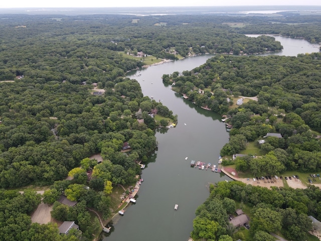 aerial view with a water view and a view of trees