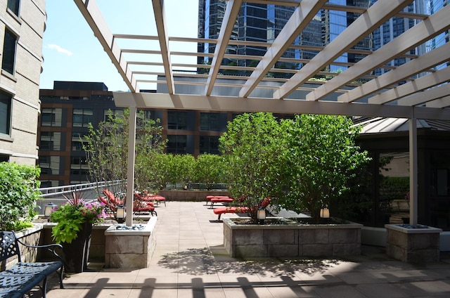 view of patio / terrace with a pergola