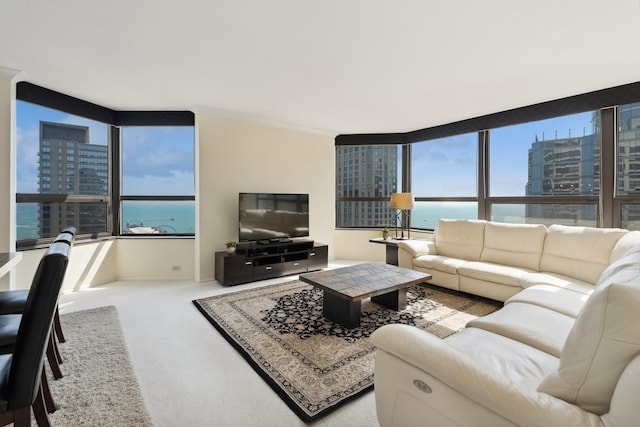 view of carpeted living area