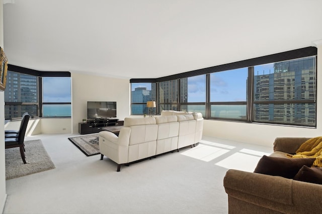 living area with carpet floors