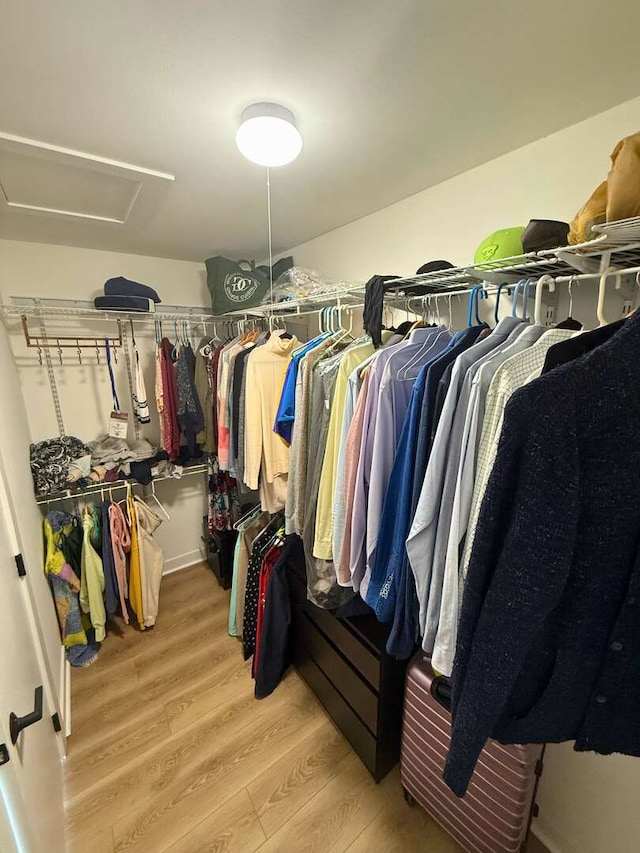 spacious closet featuring attic access and light wood-type flooring