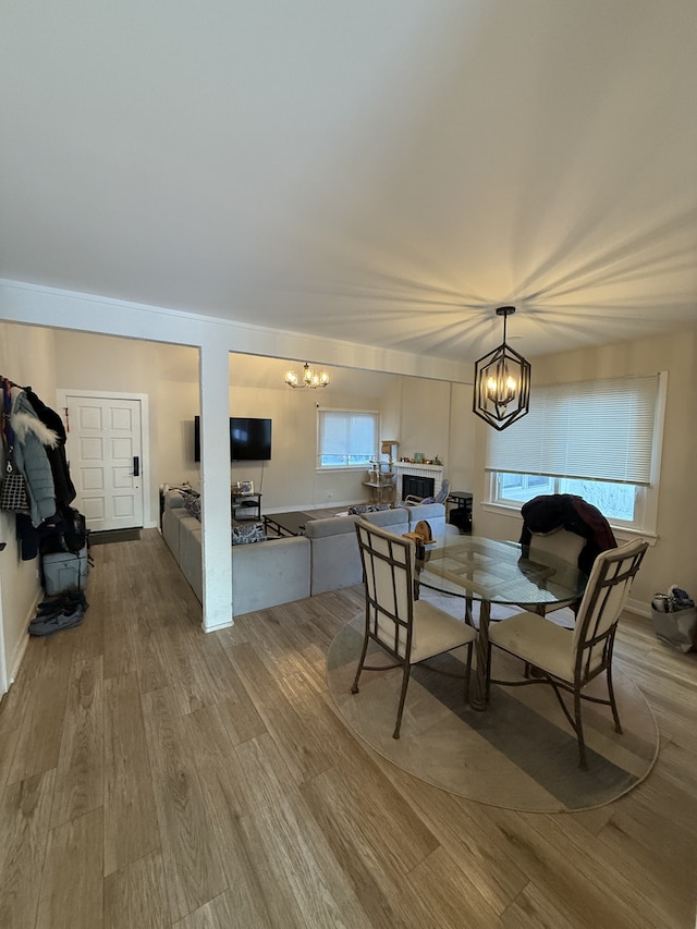 dining room featuring a chandelier, a wealth of natural light, and wood finished floors