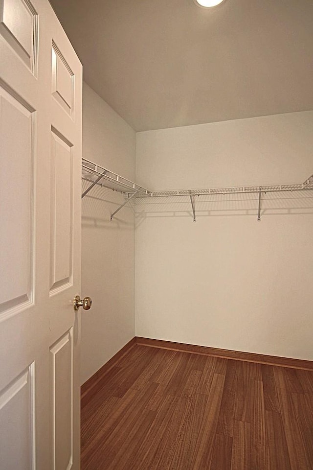 spacious closet with dark wood-style flooring