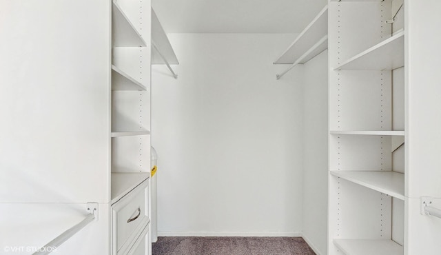 walk in closet with carpet floors