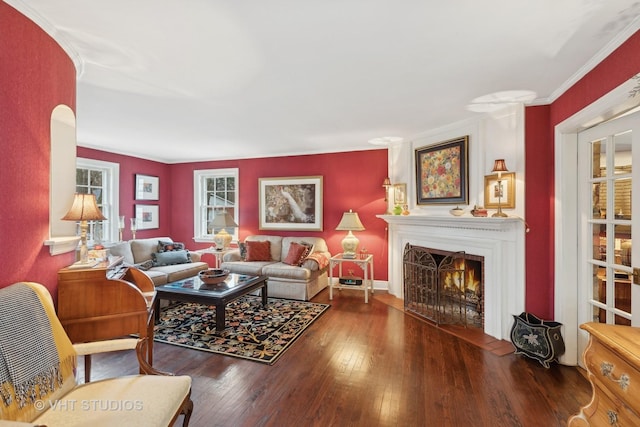 living area with ornamental molding, wood-type flooring, and a fireplace with flush hearth