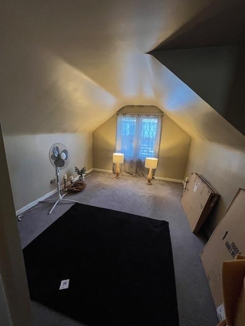 additional living space featuring vaulted ceiling and carpet