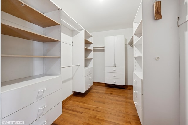 spacious closet with light wood finished floors