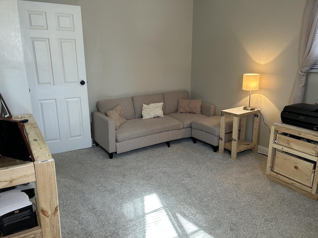 living area featuring carpet