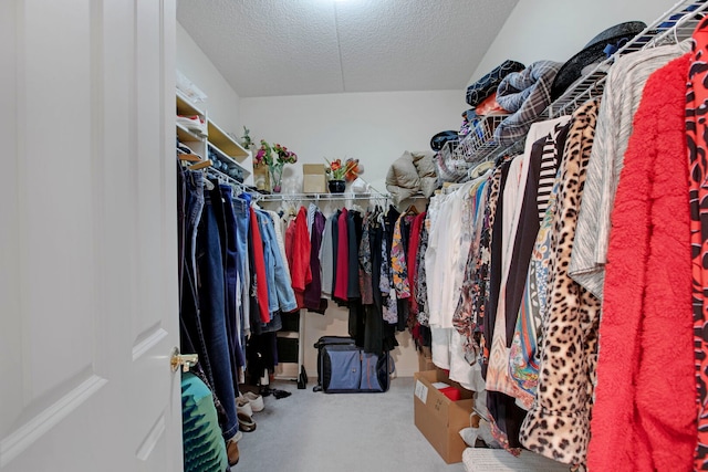 walk in closet featuring carpet floors