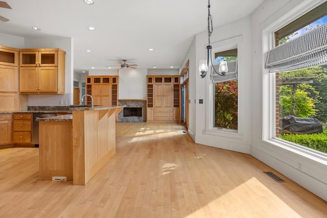 2806 Oakmont Ct, Champaign, IL 61821 - kitchen with dishwasher, a ceiling fan, a premium fireplace, recessed lighting, and light wood-style floors