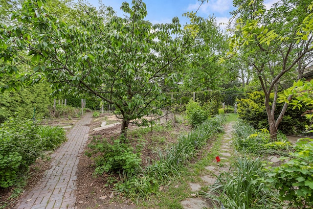 2806 Oakmont Ct, Champaign, IL 61821 - view of yard